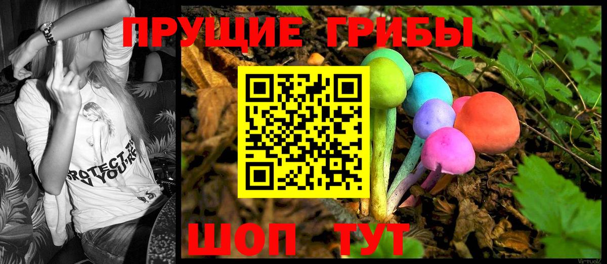 Галлюциногенные грибы Psilocybe Выборг