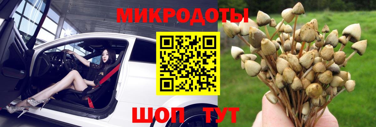 Галлюциногенные грибы GOLDEN TEACHER  Выборг 