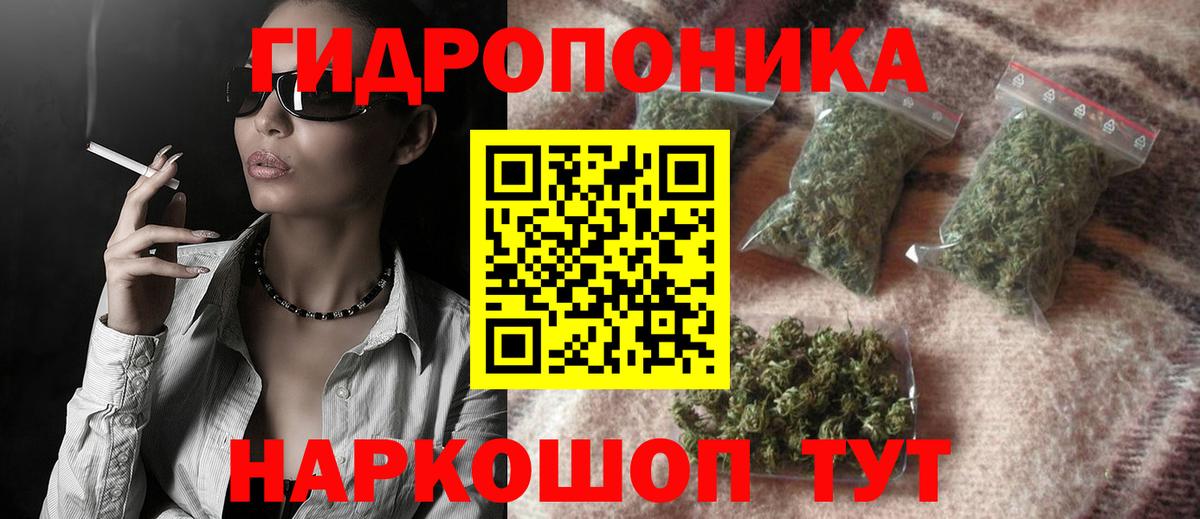 Конопля сатива Выборг